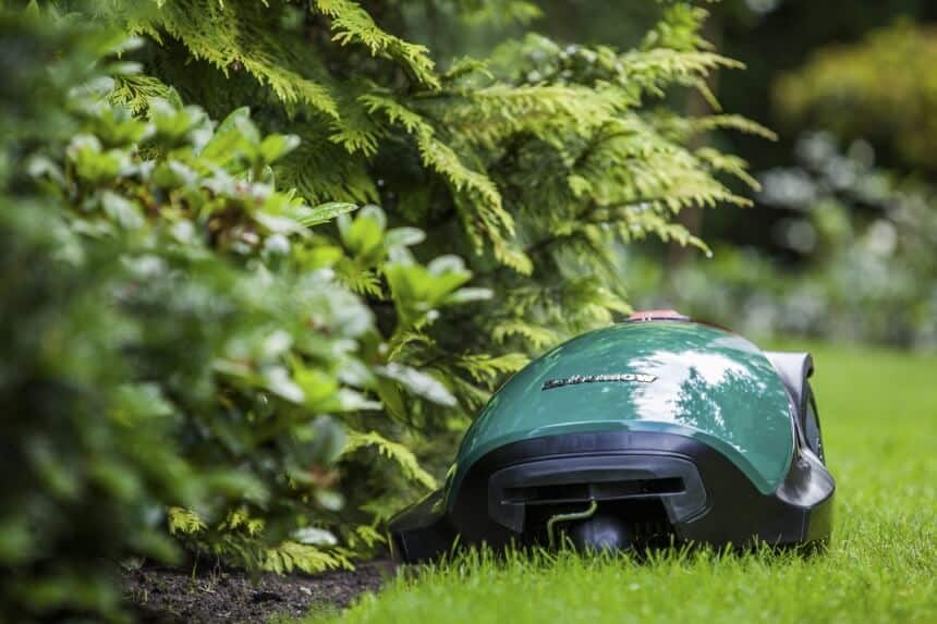 Les 5 Meilleurs Robots Tondeuses: Entretien high-tech de votre jardin